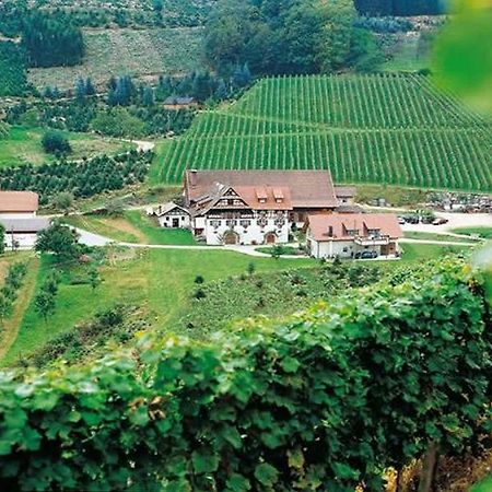 Weingut Alfred Huber Daire Durbach Dış mekan fotoğraf