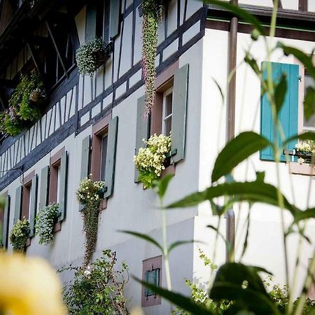 Weingut Alfred Huber Daire Durbach Dış mekan fotoğraf