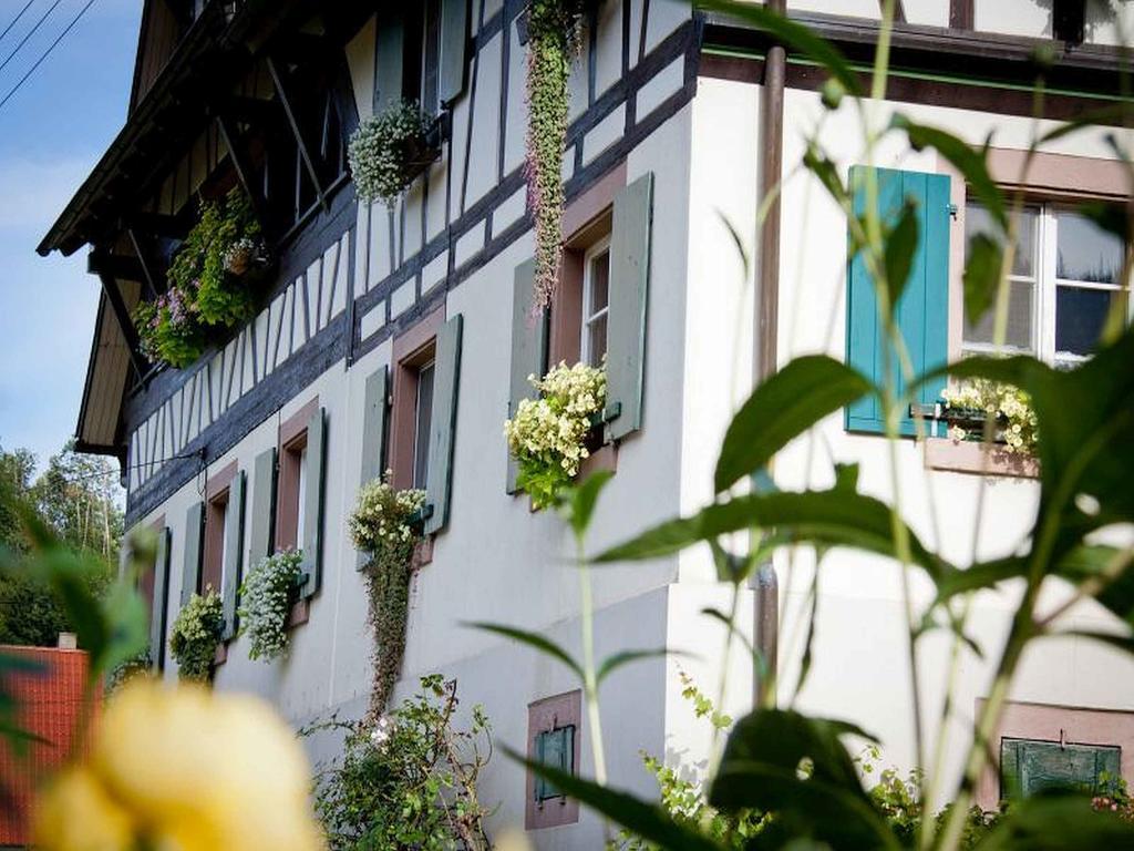 Weingut Alfred Huber Daire Durbach Dış mekan fotoğraf